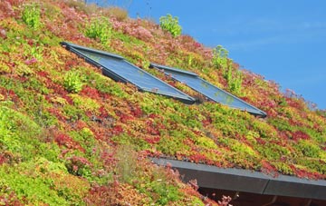 Patcham living roof systems