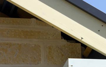 soffit repair Patcham