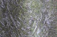 Patcham fibreglass roof work